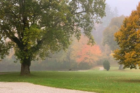 Acr601286705088-197147